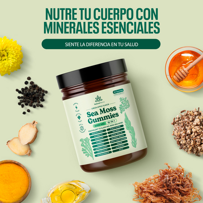 Sea Moss | Gomitas de Algas Marinas Clínicamente Testeadas